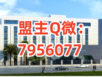 广州道道信息技术有限公司